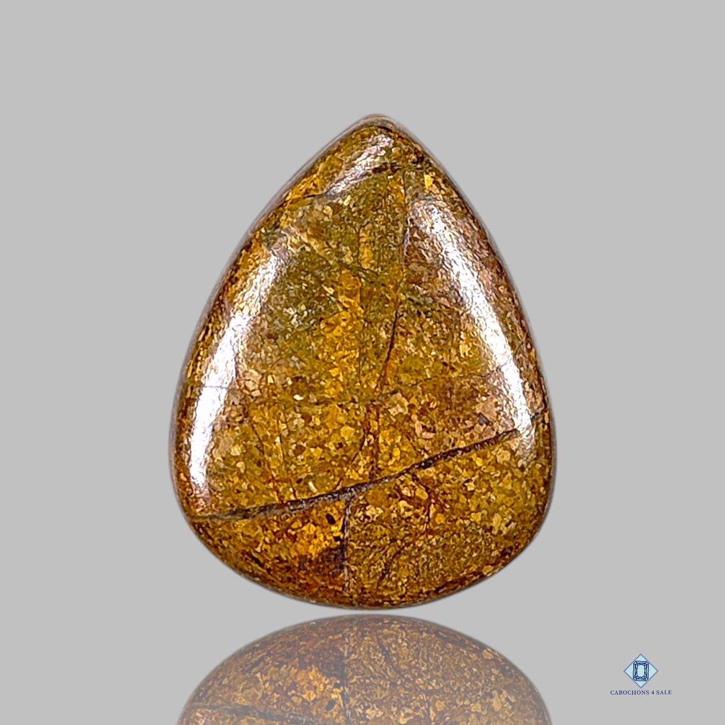 Bronzite