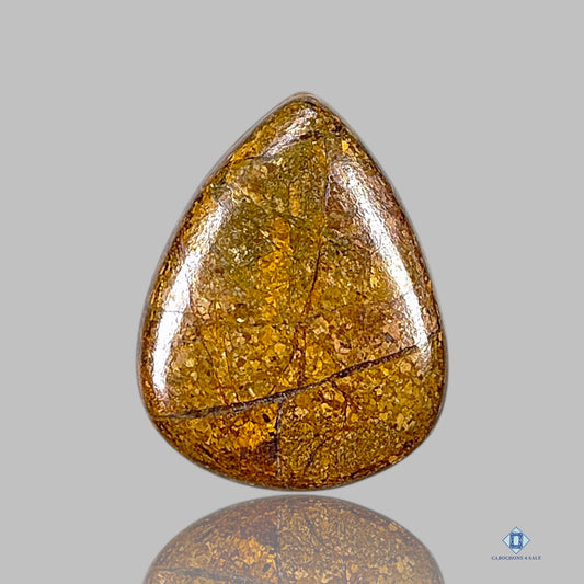 Bronzite