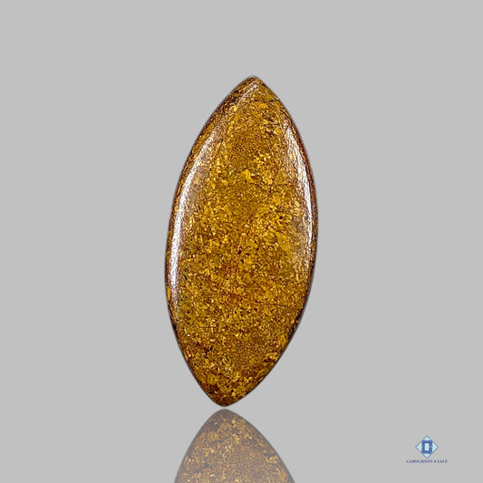 Bronzite