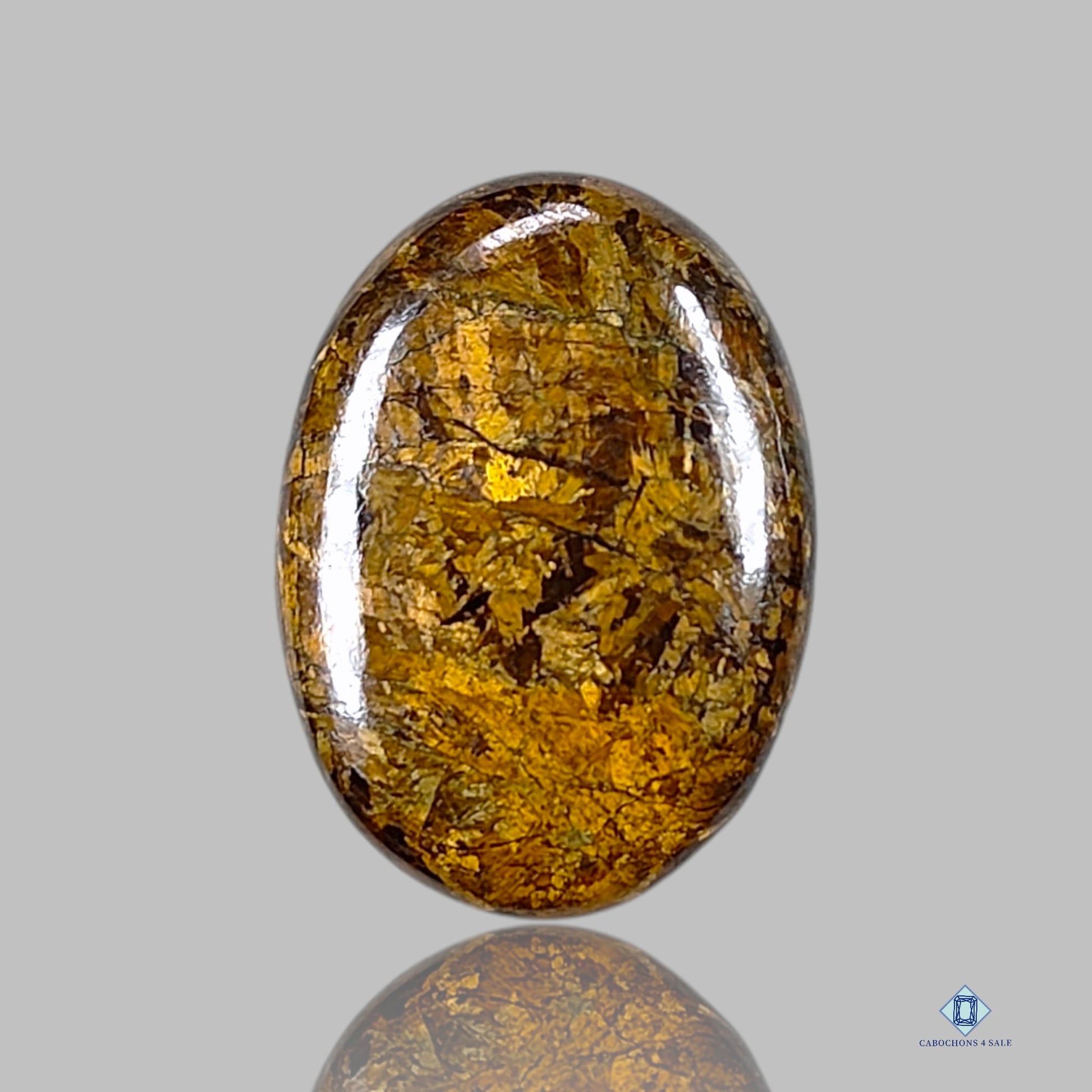 Bronzite