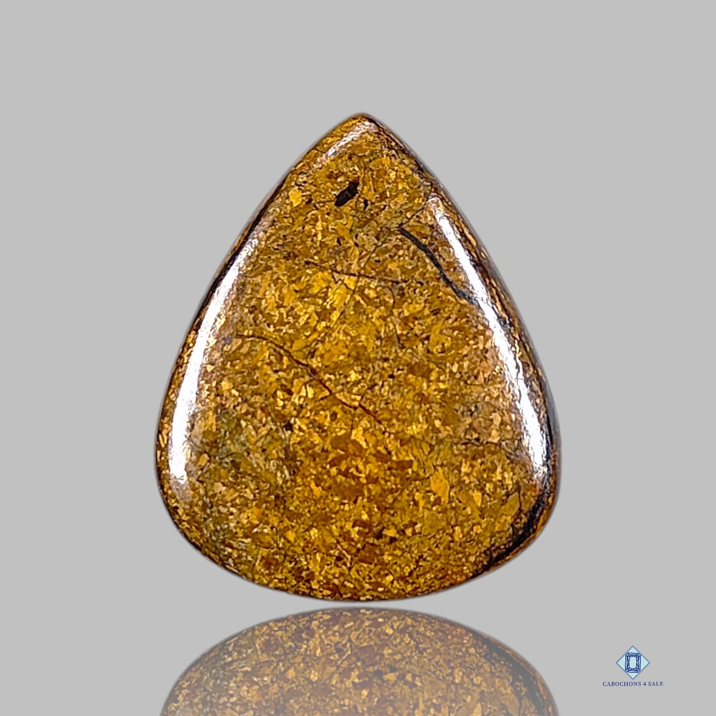 Bronzite