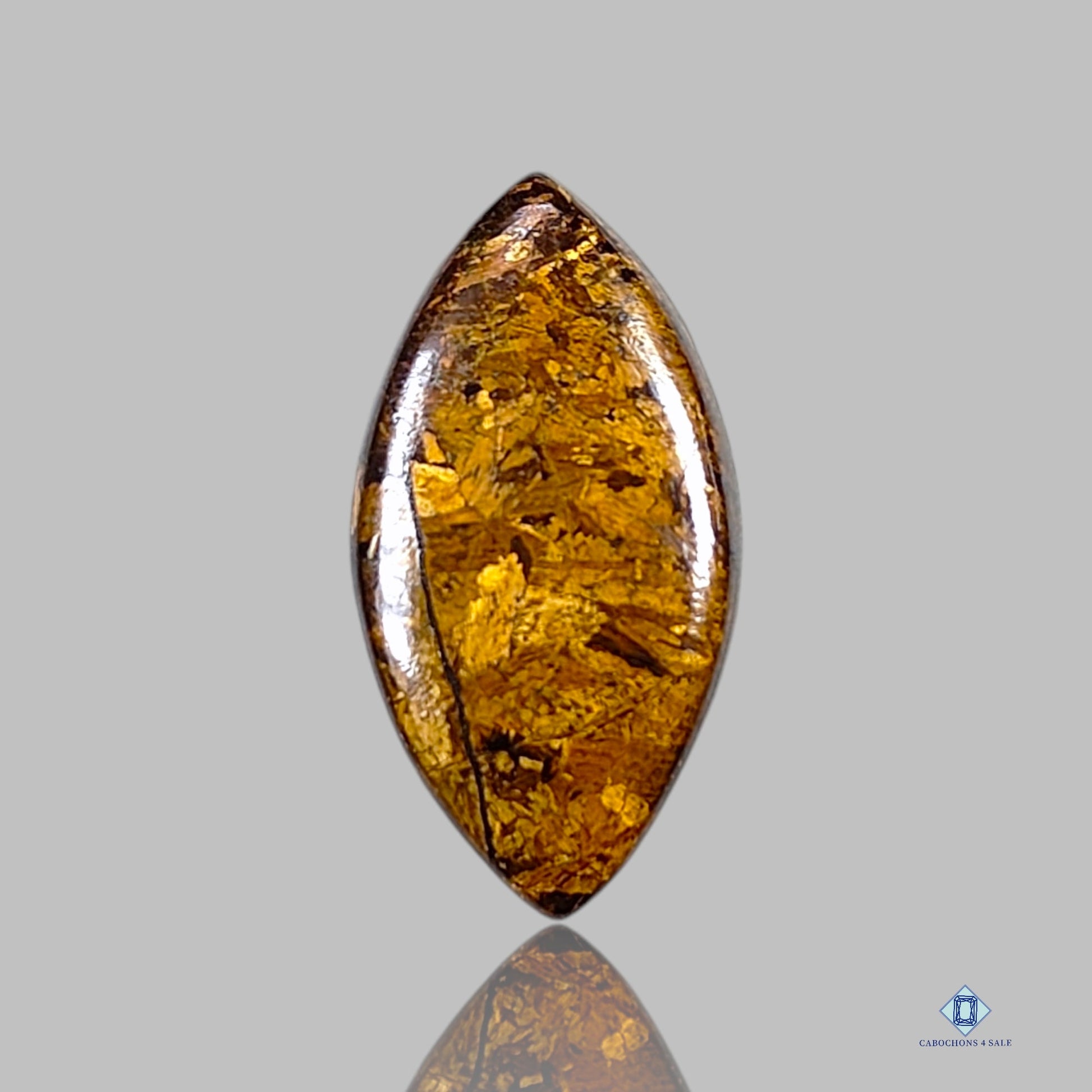 Bronzite