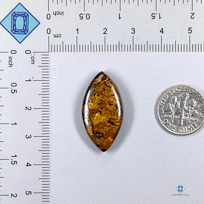 Bronzite Marquise Cabochons