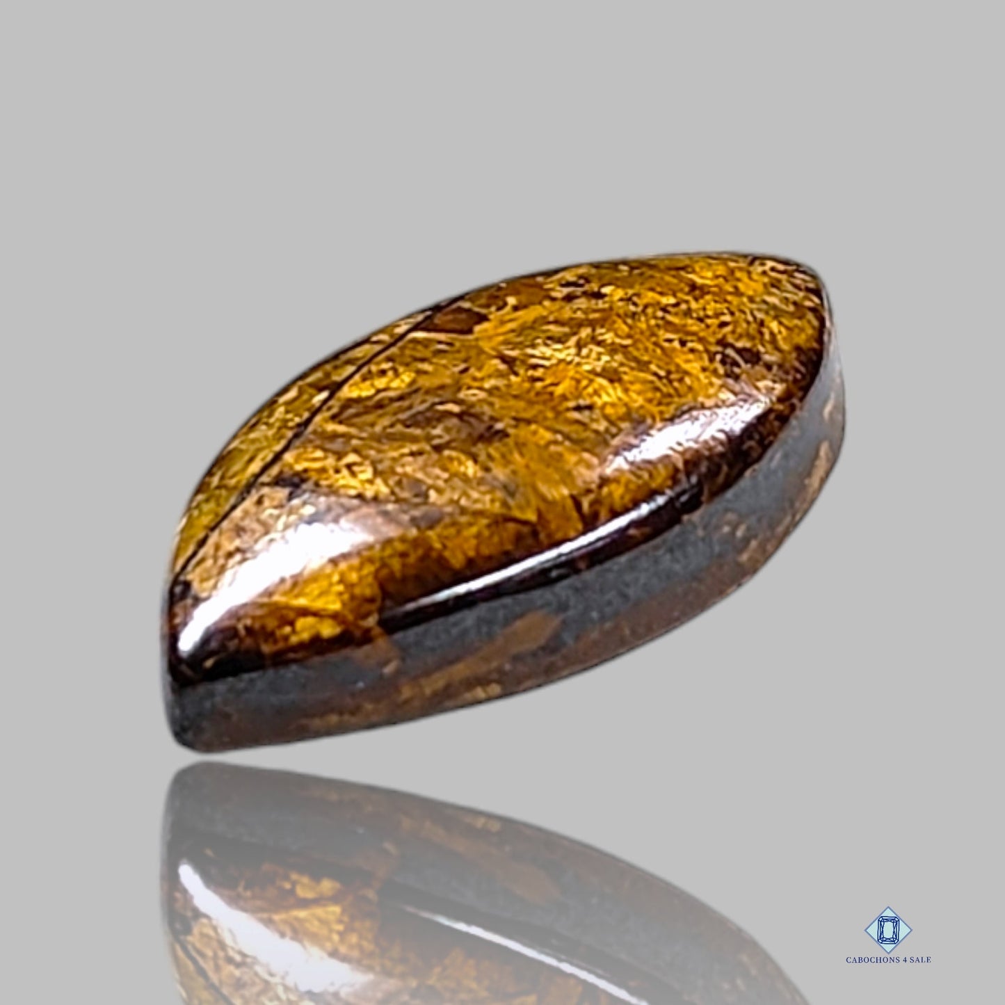 Bronzite Marquise Cabochons