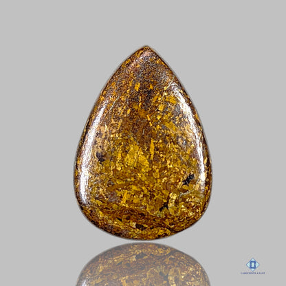 Bronzite