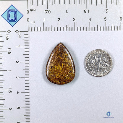 Bronzite Pear Cabochons