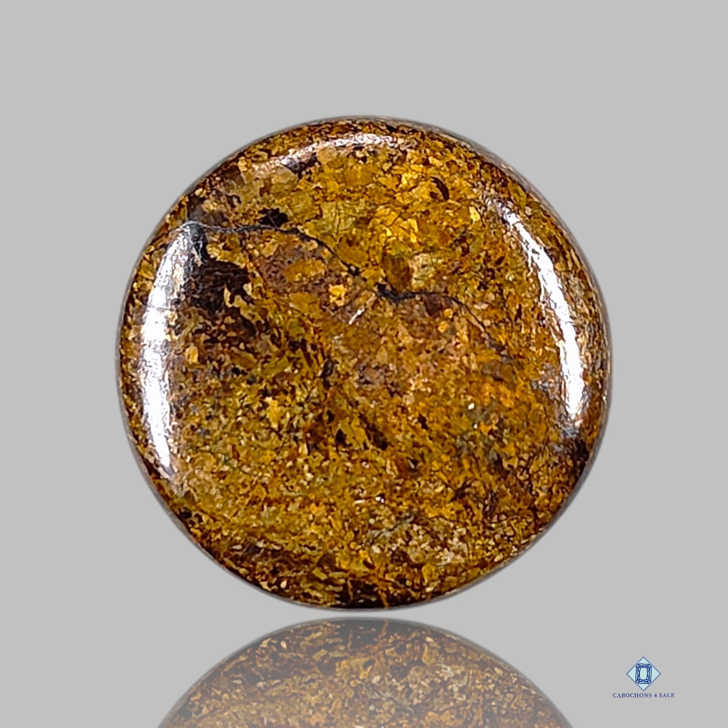 Bronzite