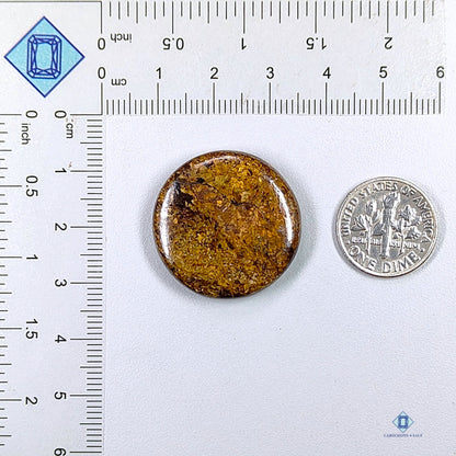 Bronzite Round Cabochons