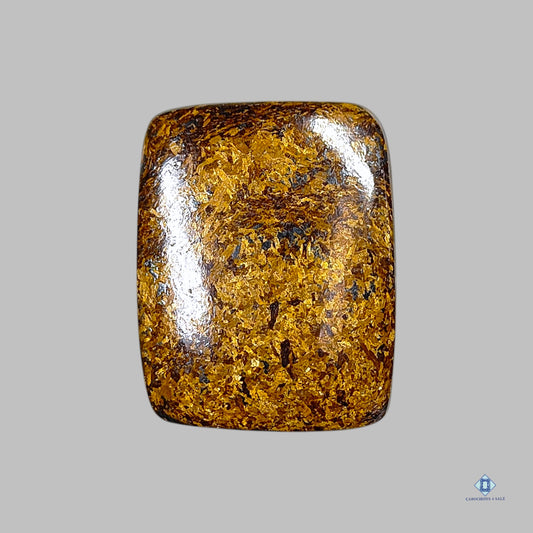 Bronzite