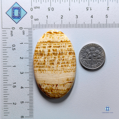 Brown Argonite-oval-Cabochons