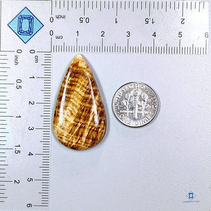 Brown Argonite Pear Cabochons