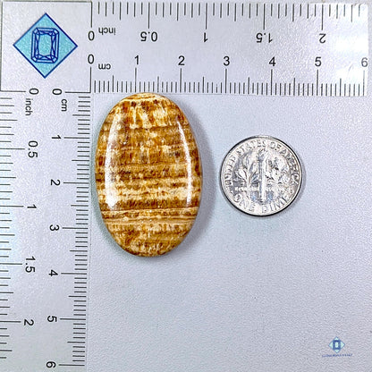 Brown Argonite Oval Cabochons