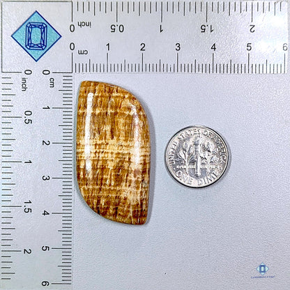 Brown Argonite Fancy Cabochons