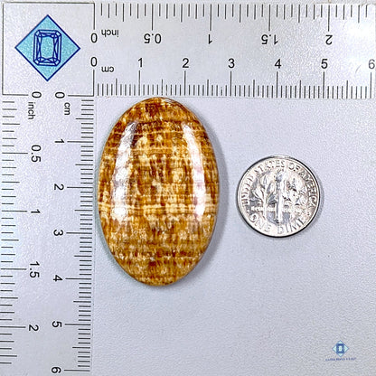 Brown Argonite Oval Cabochons