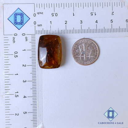 Brown Opal Rectangle Cabochons