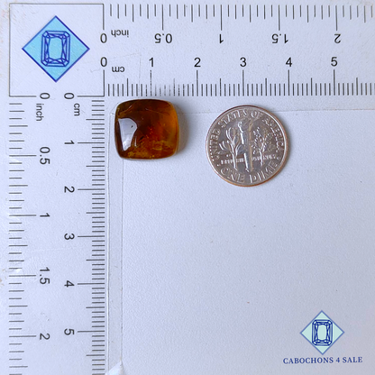 Brown Opal Fancy Cabochons