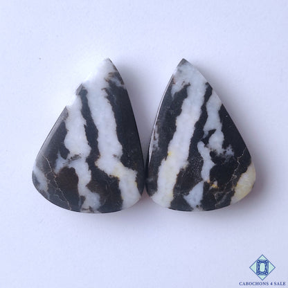 Buffalo Jasper