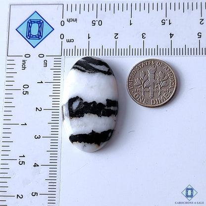 Buffalo Jasper