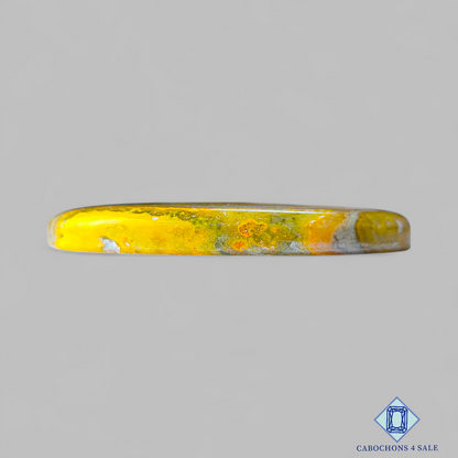 Bumble Bee Jasper