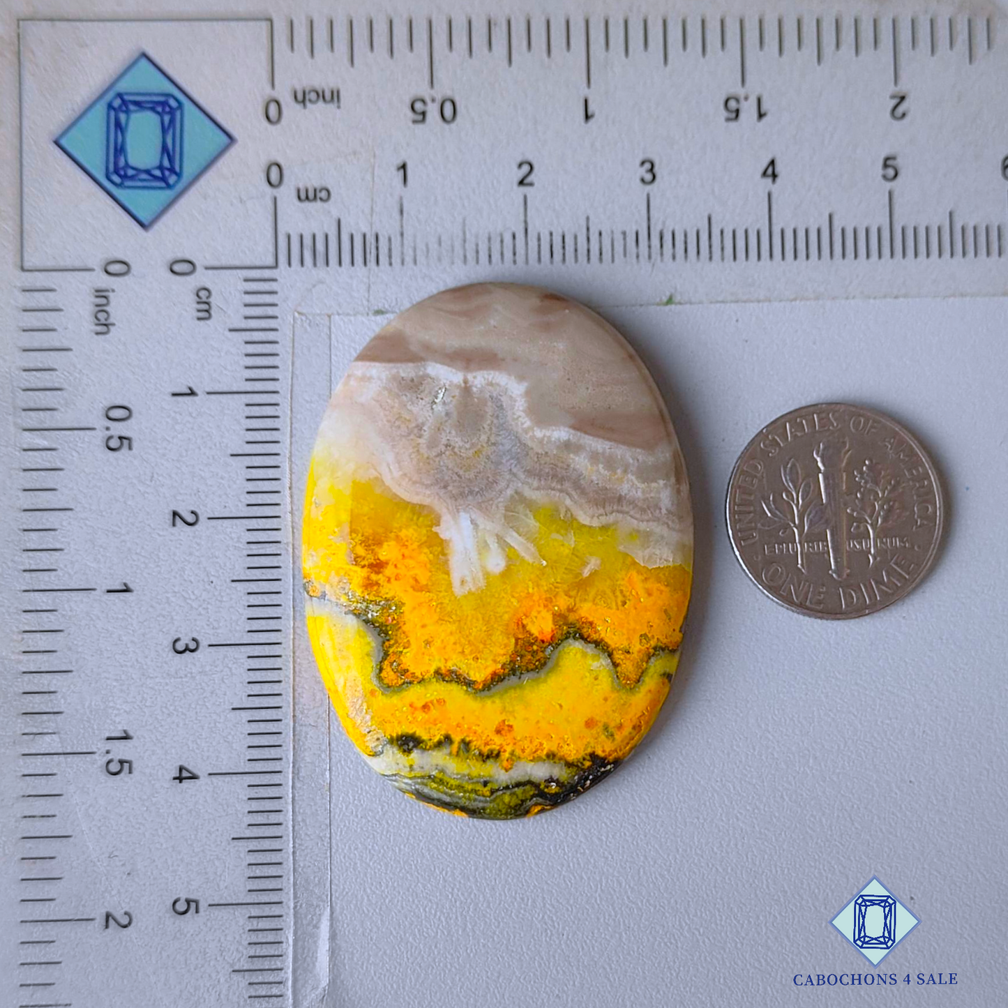 Bumble Bee Jasper