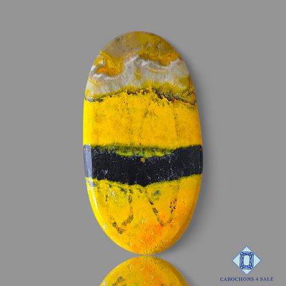 Bumble Bee Jasper