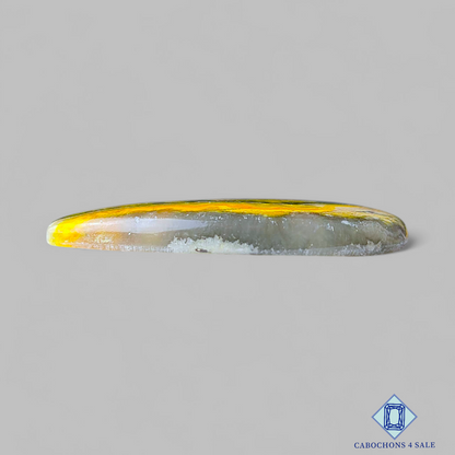 Bumble Bee Jasper