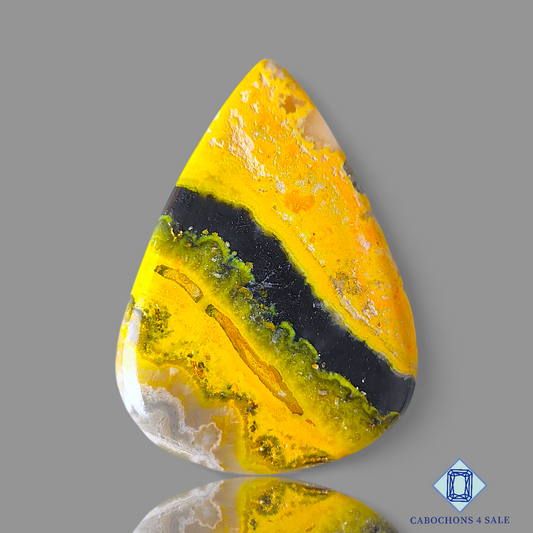 Bumble Bee Jasper