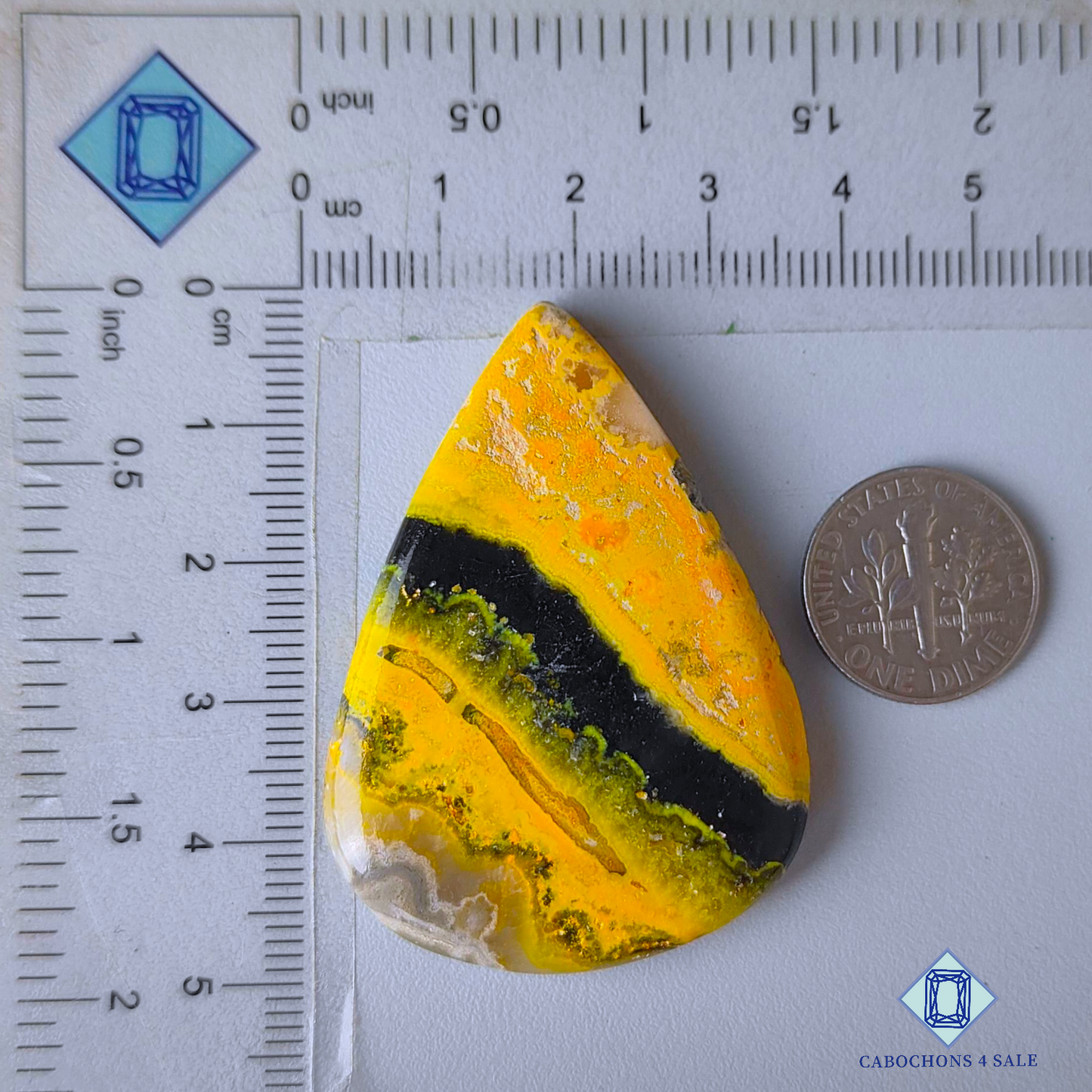 Bumble Bee Jasper