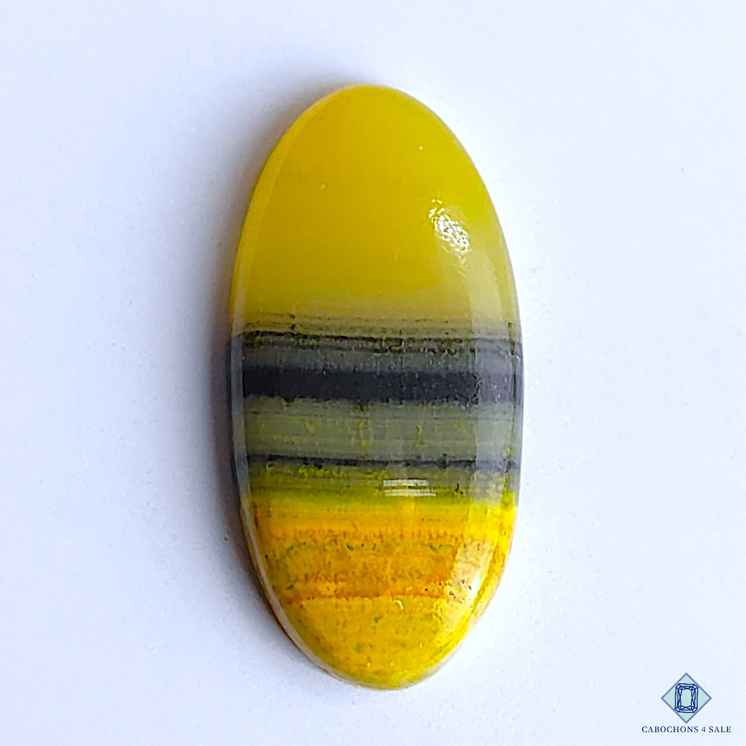 Bumble Bee Jasper