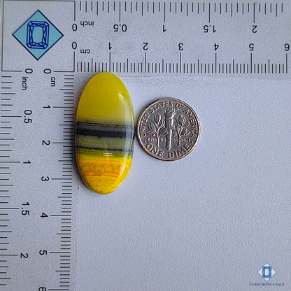 Bumble Bee Jasper