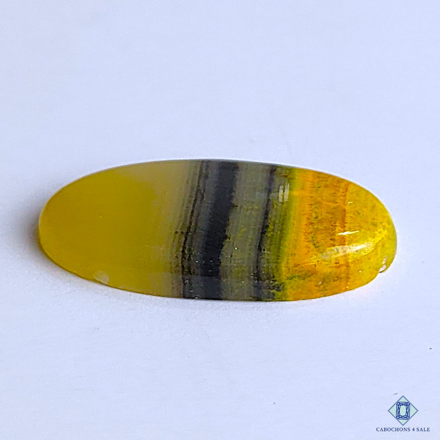 Bumble Bee Jasper