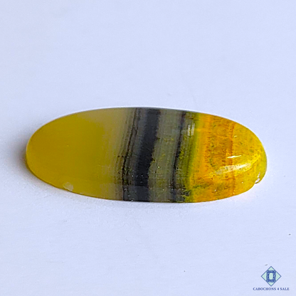 Bumble Bee Jasper