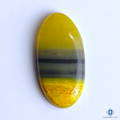 Bumble Bee Jasper
