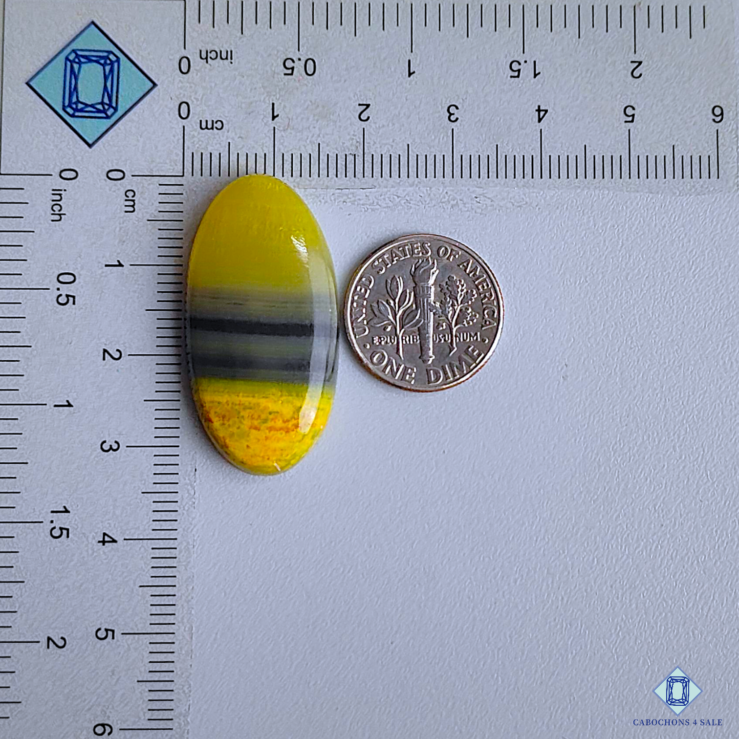 Bumble Bee Jasper