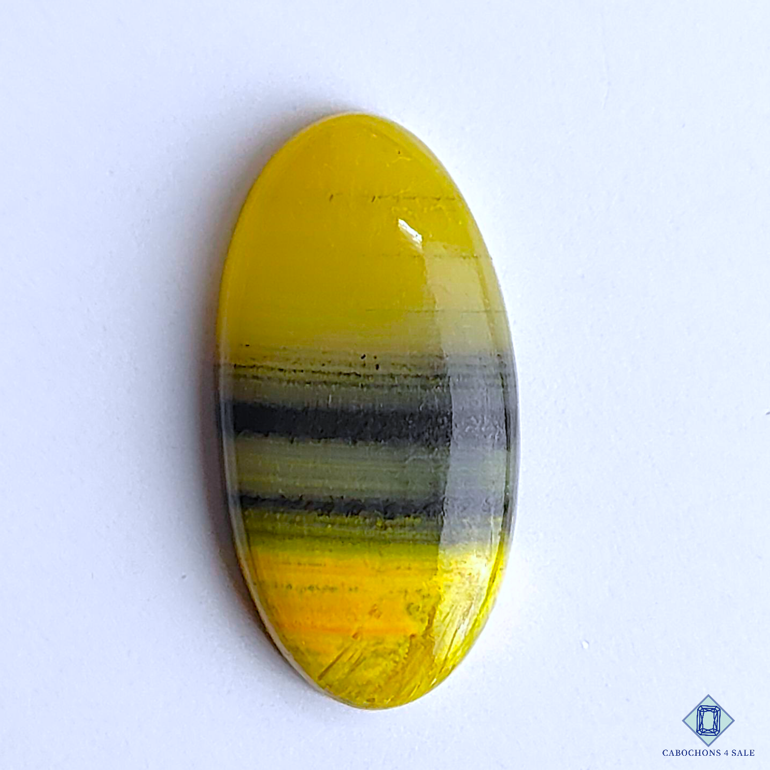 Bumble Bee Jasper