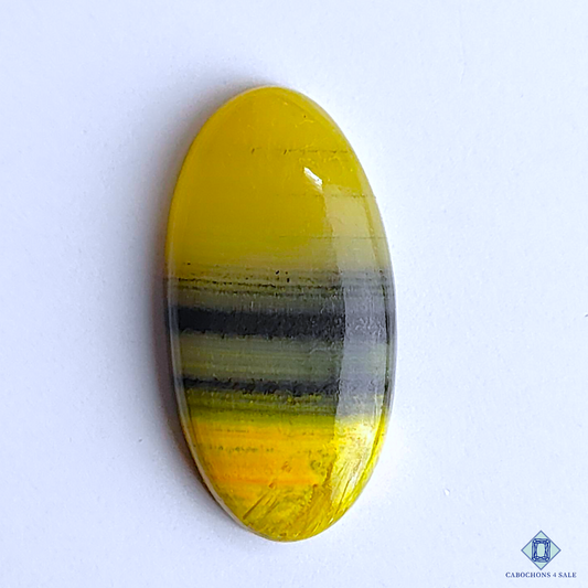 Bumble Bee Jasper