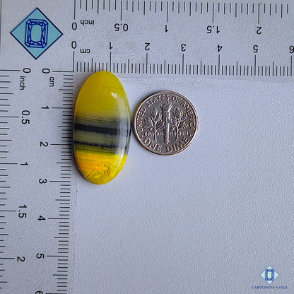 Bumble Bee Jasper