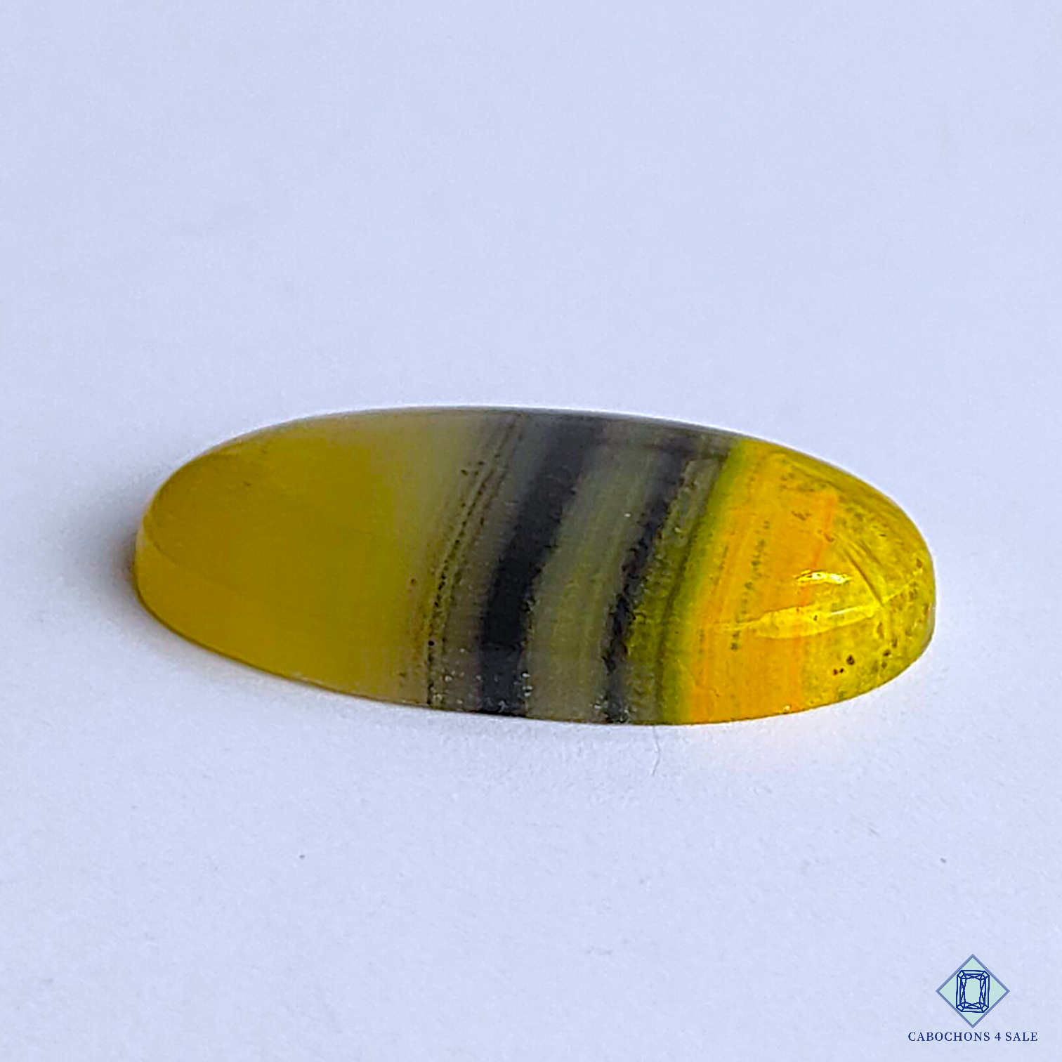 Bumble Bee Jasper