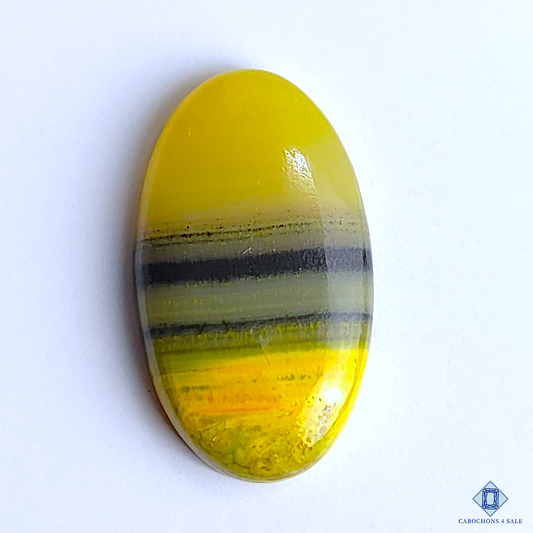 Bumble Bee Jasper