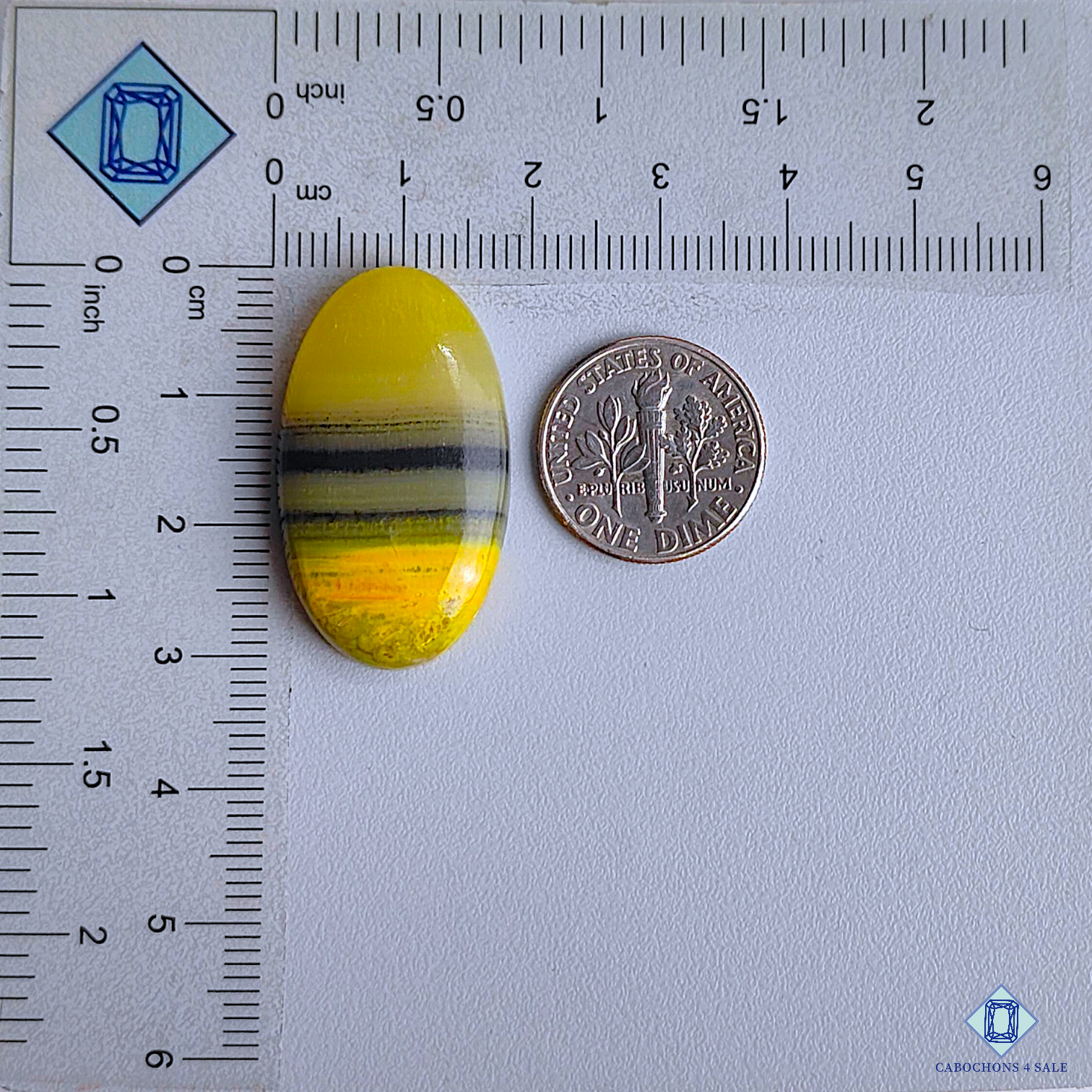 Bumble Bee Jasper