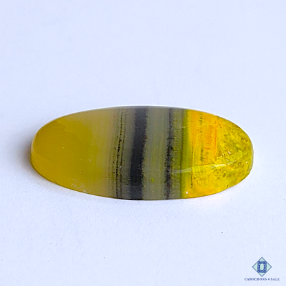 Bumble Bee Jasper