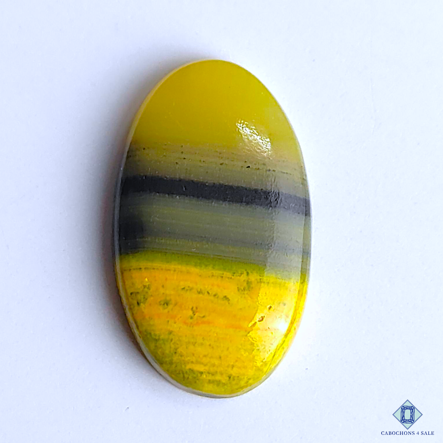 Bumble Bee Jasper