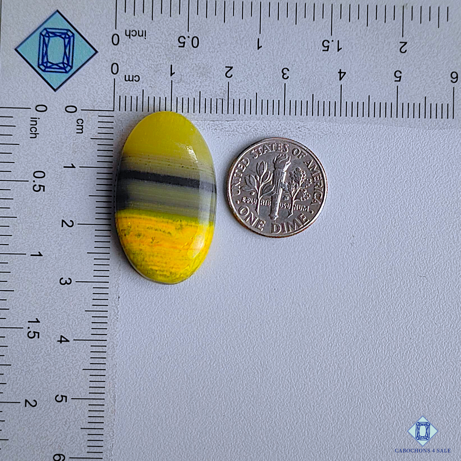 Bumble Bee Jasper