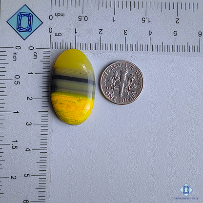 Bumble Bee Jasper