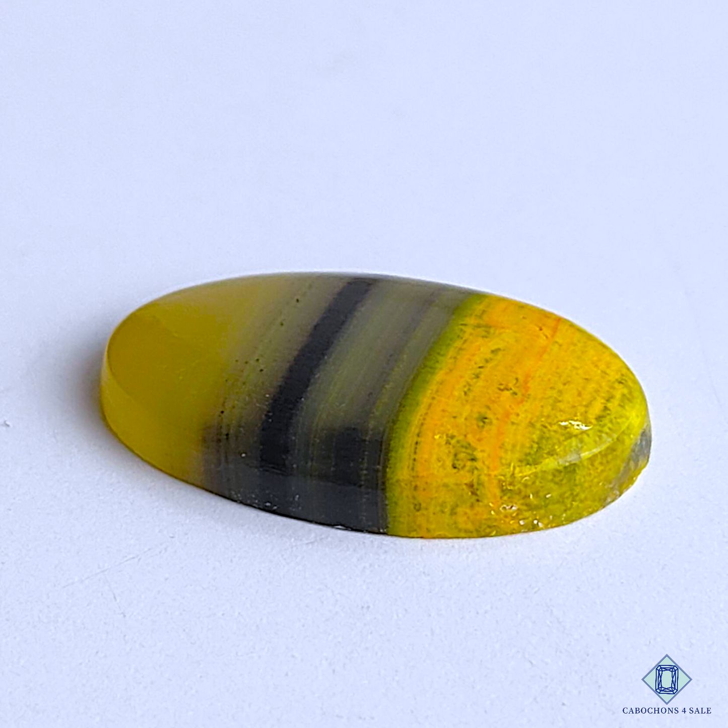 Bumble Bee Jasper