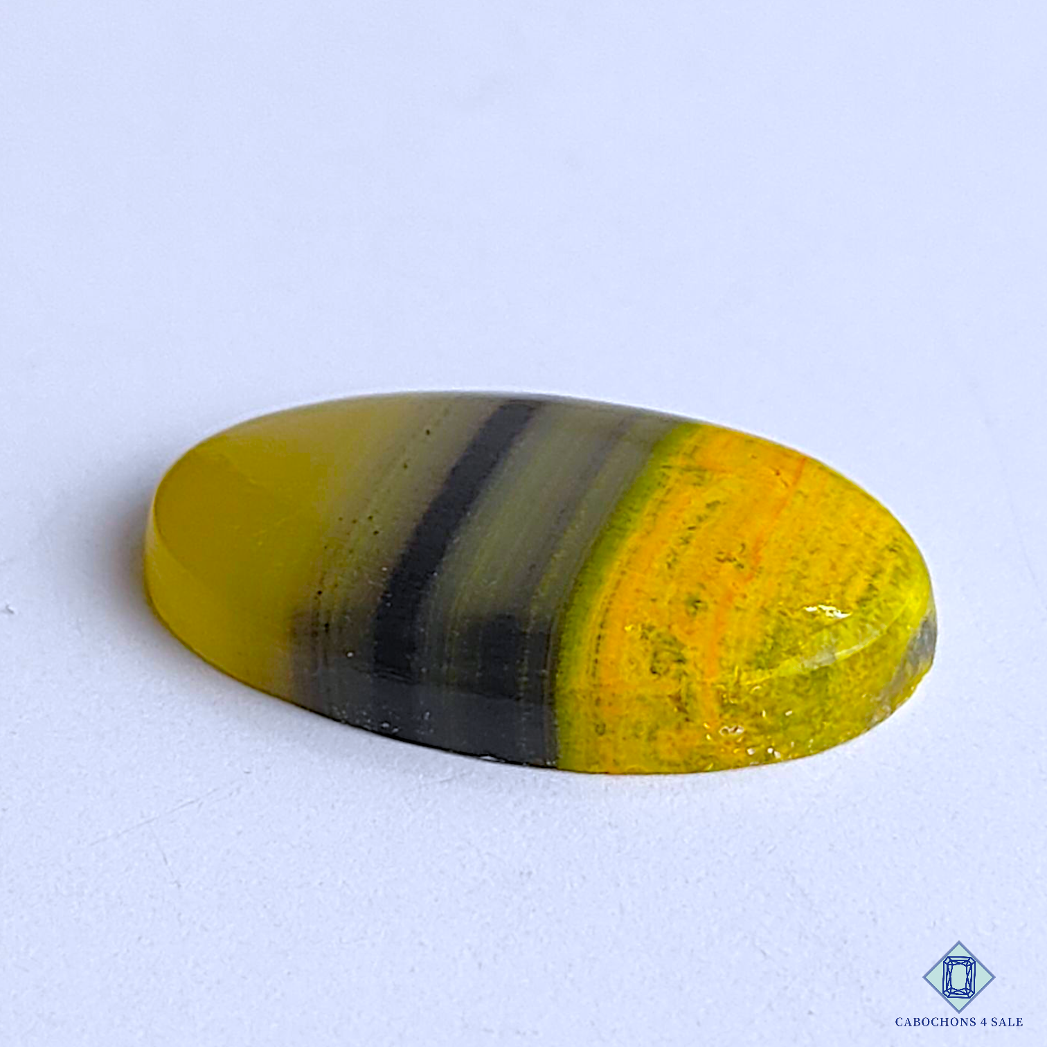 Bumble Bee Jasper