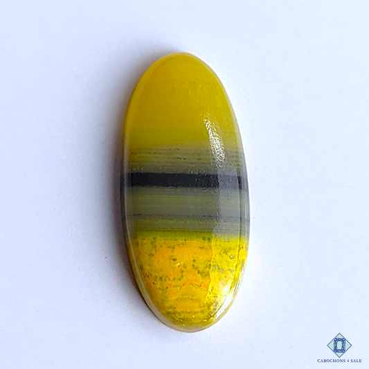 Bumble Bee Jasper