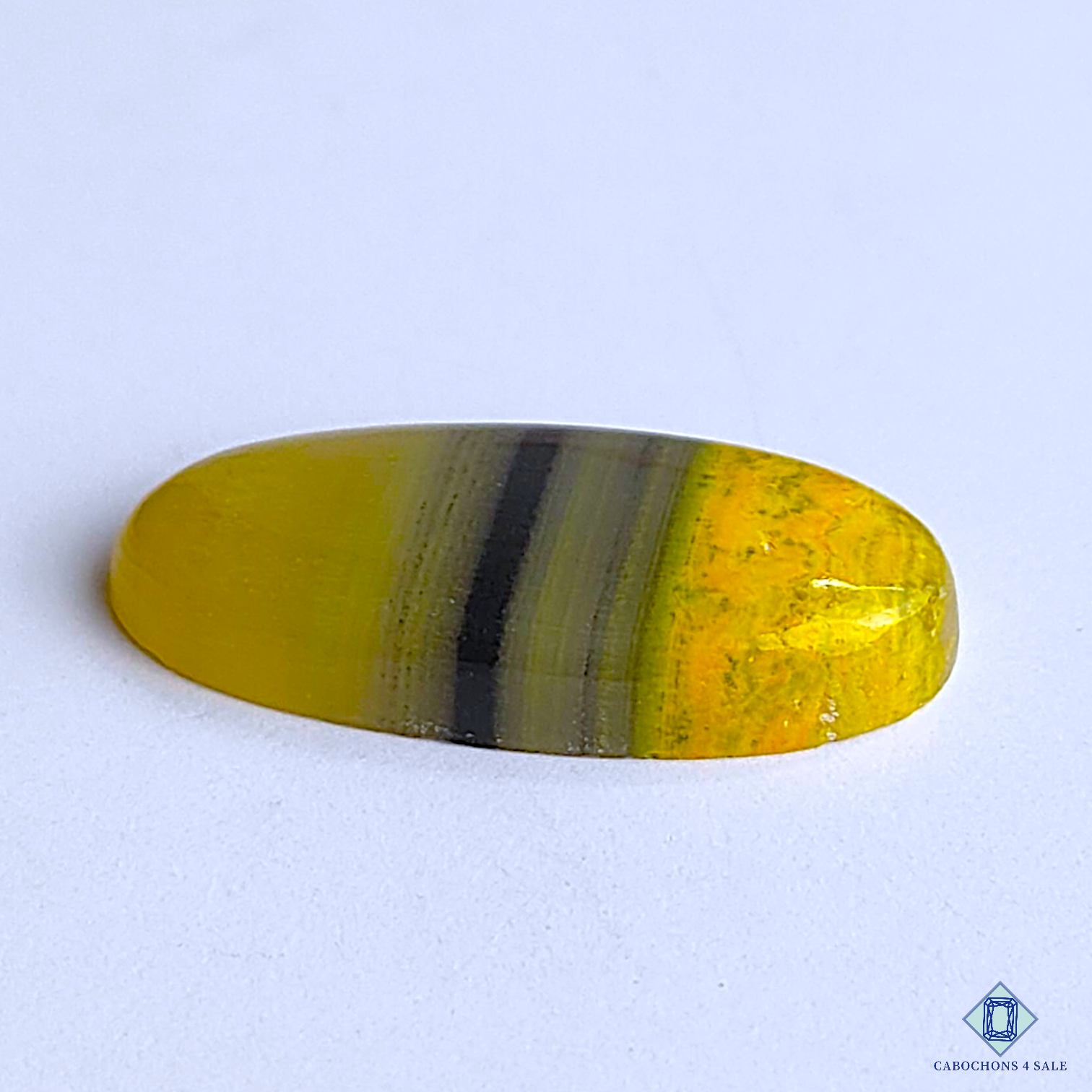 Bumble Bee Jasper