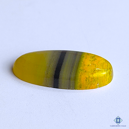 Bumble Bee Jasper