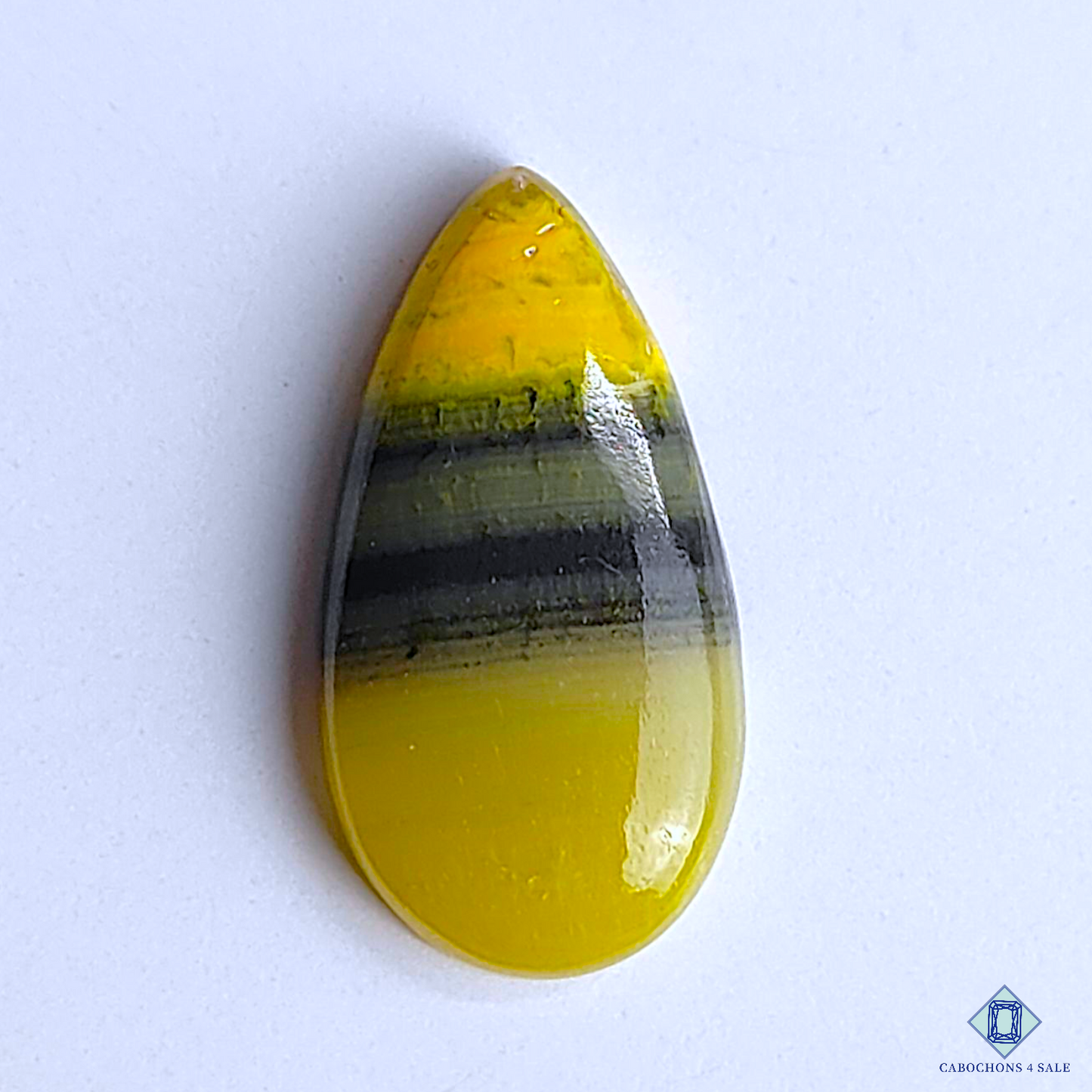 Bumble Bee Jasper